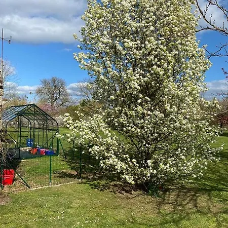 Homestay No5 D'hotes Courcome